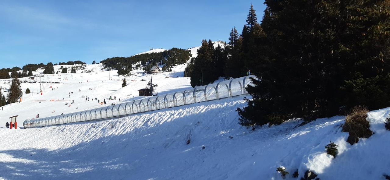 Studio Aux Pieds Des Pistes Roche Beranger Chamrousse Buitenkant foto