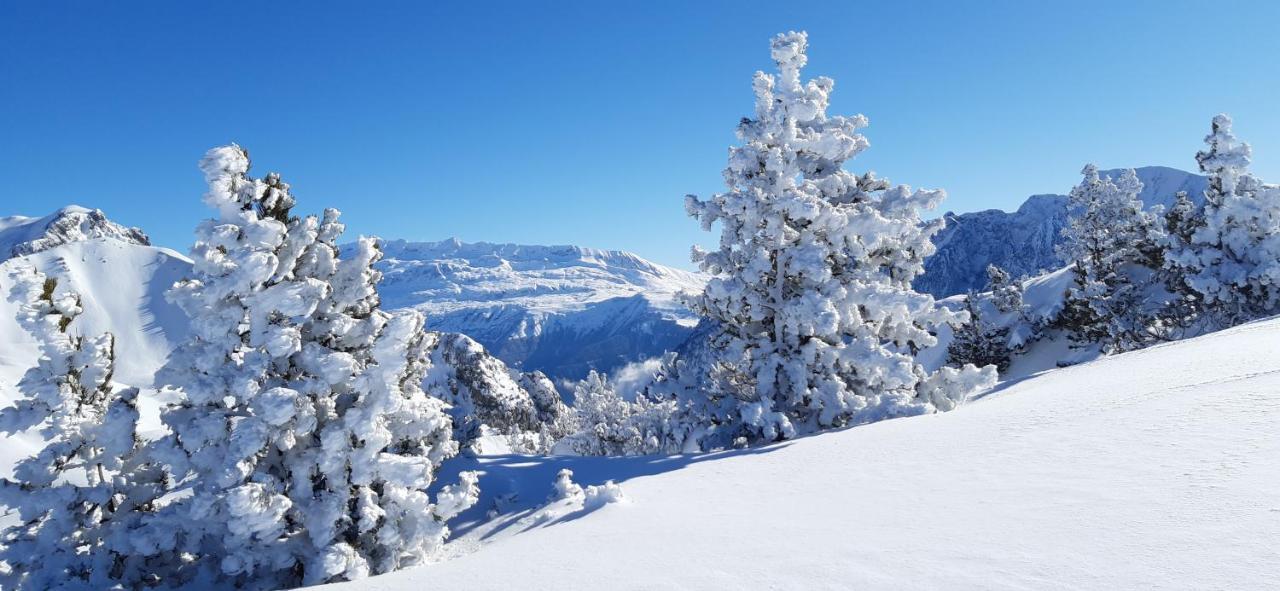 Studio Aux Pieds Des Pistes Roche Beranger Chamrousse Buitenkant foto